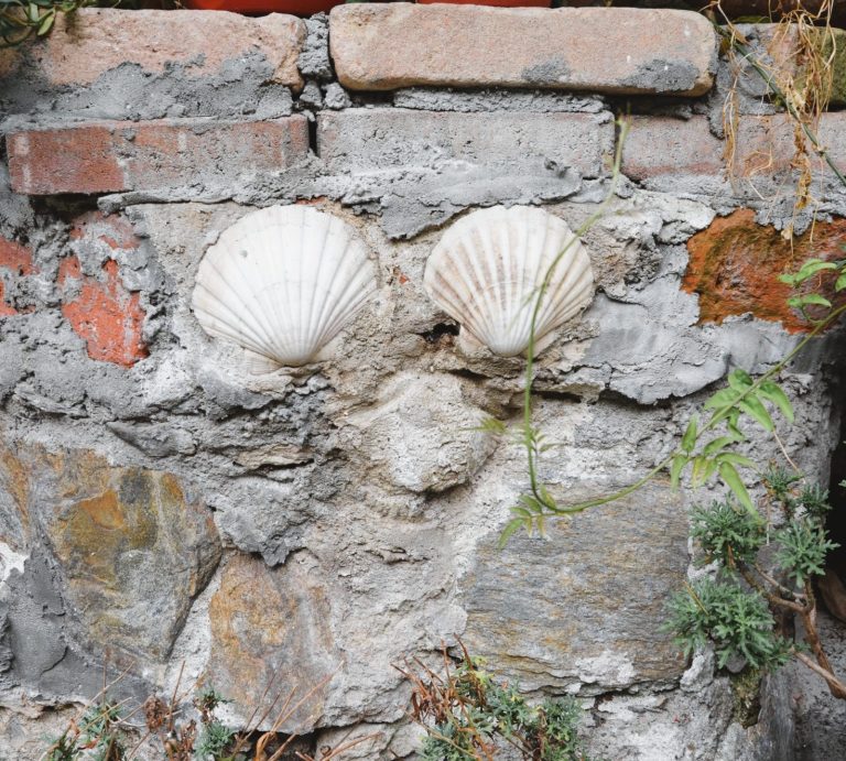 Zwei Muscheln Wenn wir versuchen, uns wieder achtsam und wertschätzend zu begegnen, können wir neue Wege beschreiten. Es gibt wieder ein WIR.